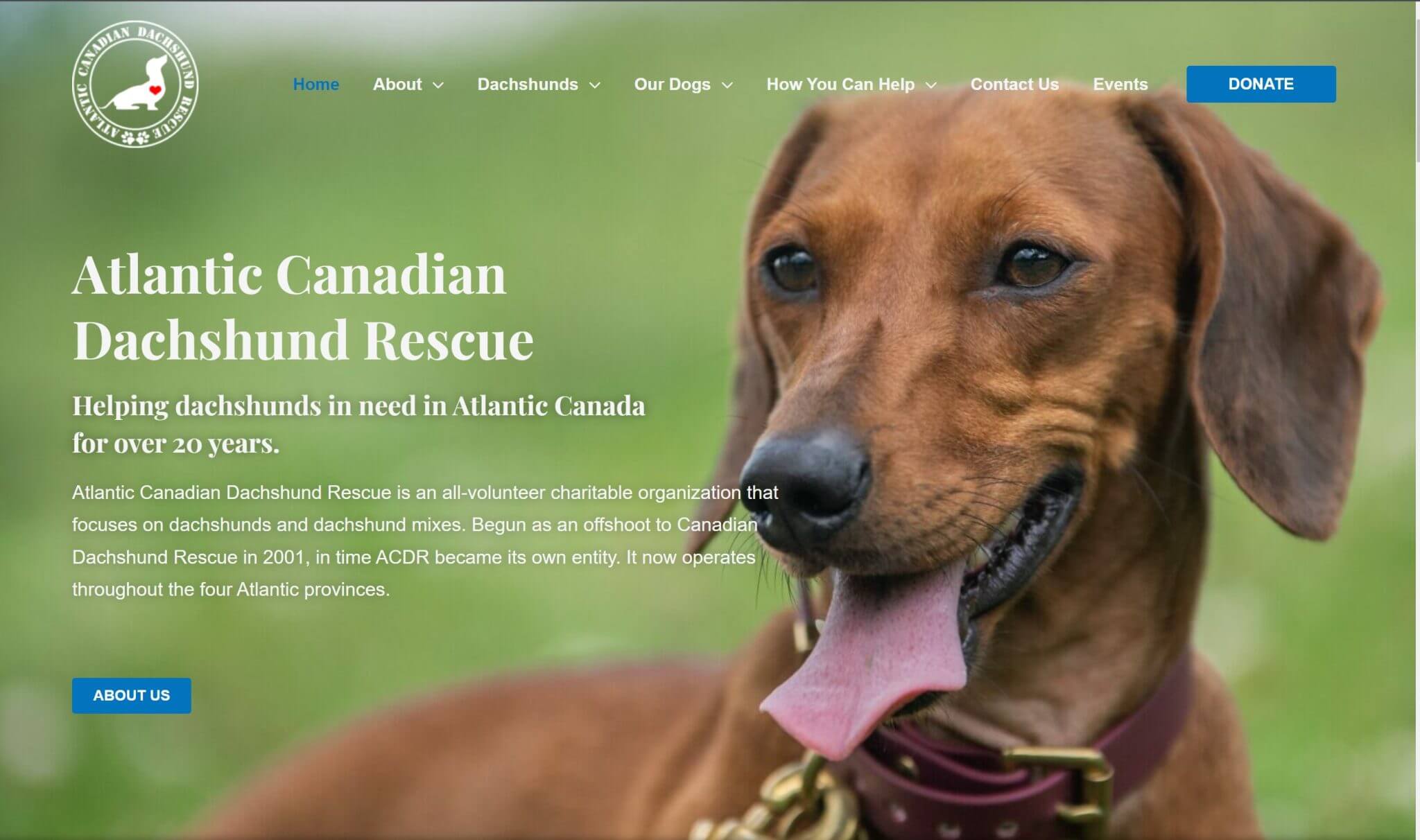 Atlantic Canadian Dachshund Rescue