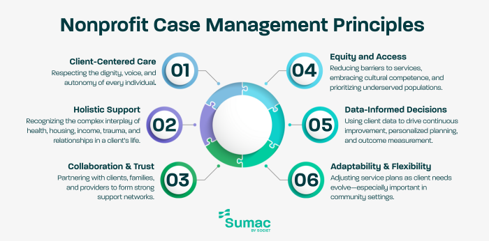 Nonprofit Case Management Principles