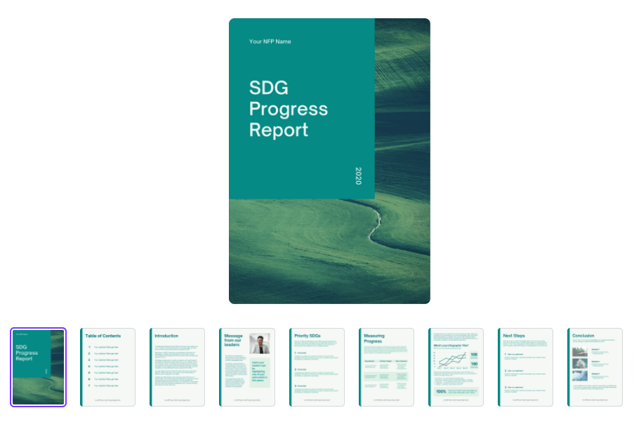 Nonprofit Annual Report Template and Examples SDG Progress Report
