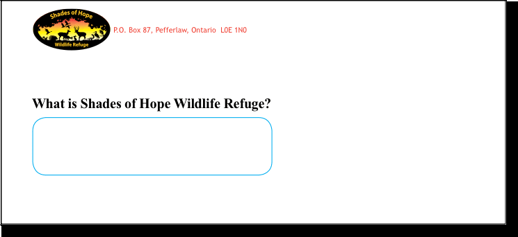 Wildlife Protection Fundraising Letter Envelope Example
