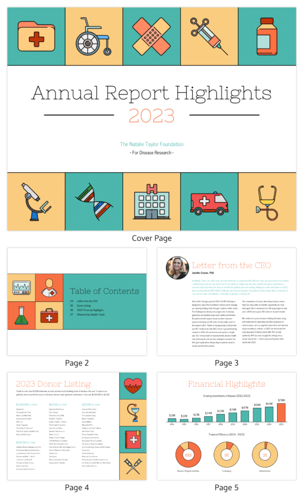 annual-report-for-nonprofits-9