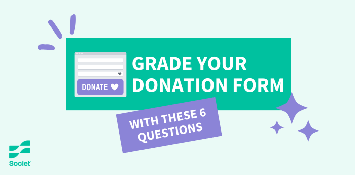 Grade Your Donation Form