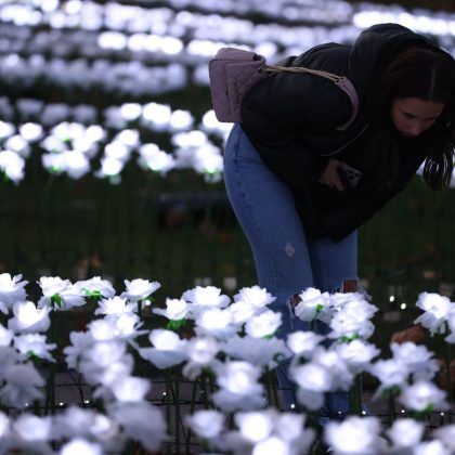 financement de noël pour le jardin de l'éternité